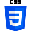 CSS Logo